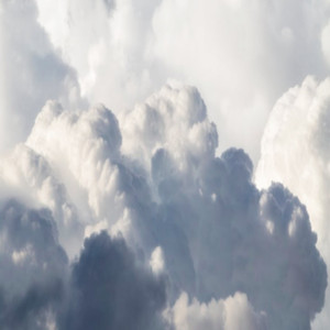 性别 自由 凸轮 性别 成熟
